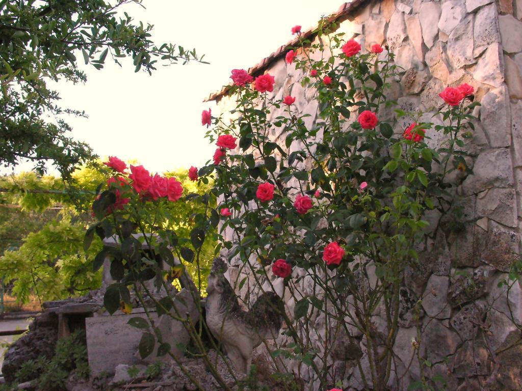 Agriturismo Valle Verde Altamura Exterior photo